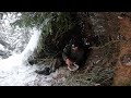 caught in a snowstorm winter bushcraft shelter in heavy snow