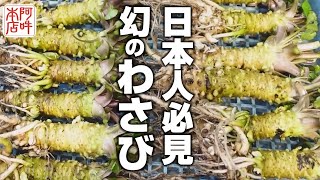 【至高の山葵】山葵が100倍美味くなる動画！伊豆のわさび園に潜入！