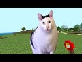 バナナ猫がマイクラにやってきた！【総集編 part 6】