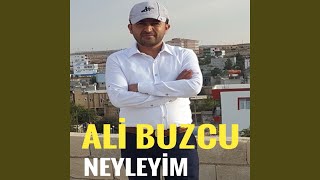 Neyleyim