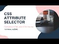 CSS Attribute Selector ( HTML and CSS tutorial 42)