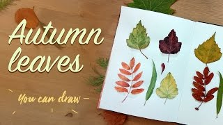 How to Draw a Leaf | We draw autumn leaves from trees step by step