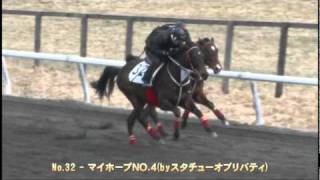 HBAトレーニングセール2011 - No.32