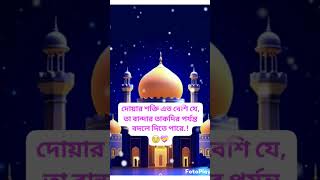 বেশি বেশি দোয়া🤲 মানুষ কে উচ্চ স্তরে পৌঁছে দিতে পারে #ইসলামিক_ভিডিও #ইসলামিক 🍀🍀🍀🍀🍀🌺🌺🌺🌺