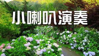 期待再相會【小喇叭演奏】