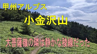 【山梨】小金沢山　2022 .8. 16