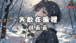 趙薇薇 - ﻿失散在風裡『雪落的來意 冰凍我的心 想再靠近你』【動態歌詞Lyrics】