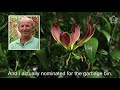 grower talk gloriosa grower willem brouwer the process behind the crown jewel of flowers