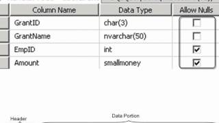 SQL2008DevVol3 Lab3 2 NullDataGoodVideo