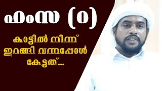 ഹംസ (റ) മുസ്ലിമായത് ഇങ്ങനെ ആയിരുന്നു : Islamic Speech About Hamza (R) | AL ZABEEL TV