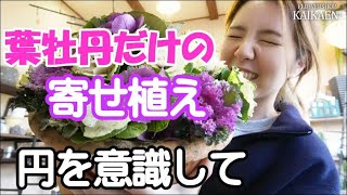 葉牡丹　だけの寄せ植え　円を意識して　隙間に入れる　ギュウギュウ【おうちでガーデニング】開花園チャンネル