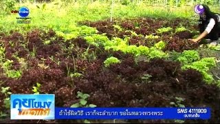 เกษตรสร้างชาติ : ศูนย์เรียนรู้การปลูกผักแบบผสมผสาน | สำนักข่าวไทย อสมท