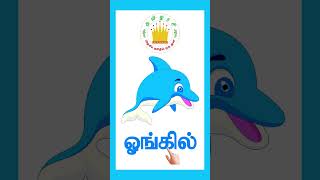 நீல நிறம் -Tamil Reading Practice |Learn Blue Colour in Tamil for Kids \u0026 children| Tamilarasi