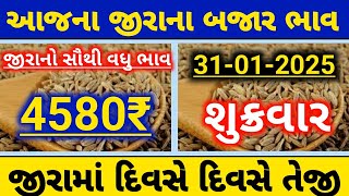 આજના જીરા ના બજાર ભાવ|| જીરાના ભાવ||4580||ગુજરાત માર્કેટ યાર્ડ ભાવ||જીરાના ભાવમાં દિવસે દિવસે તેજી