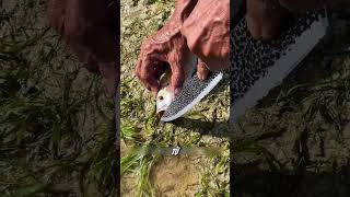 The ultimate fishing technique you've never seen before #fishing