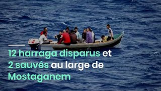 12 harraga disparus et 2 sauvés au large de Mostaganem