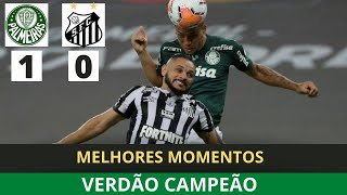 Palmeiras 1 x 0 Santos | VERDÃO CAMPEÃO | Melhores Momentos | FINAL LIBERTADORES