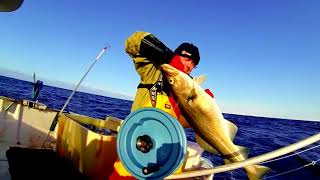 OCQUETEAU - Pêche au cabillaud en Norvège - Slow cod fishing in Norway