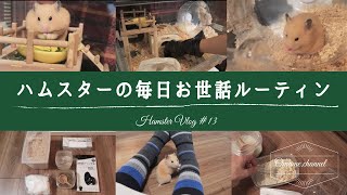 Vlog#13|初めてのハムスター／毎日のお世話ルーティン|hamster Vlog