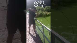 한여름 고삼지~! 개더움 주의! [BassFishing]