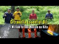 Pag-Gawa ng Citronella Essential Oil - 1 Million to 100 Million Profit