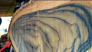 Serat sempurna proses detail penggergajian kayu jati bahan papan furniture seharga 30 juta