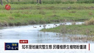 知本溼地卡大地布傳領 族人去年10月立碑 2019-01-11 IPCF-TITV 原文會原視新聞