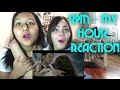 2PM - MY HOUSE MV Reaction