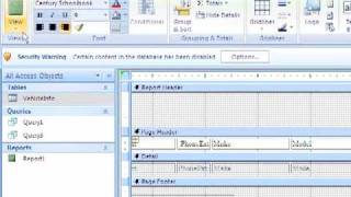 004 - Generating Reports in Access 2007
