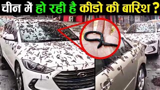 चीन में क्यों हो रही है कीड़ों की बारिश ? | China | Mysterious Worms Rain