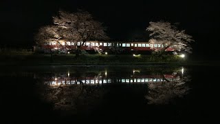 【4K30P動画】小湊鐵道 キハ200 飯給の桜･水鏡