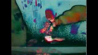 Dan Deacon - Padding Ghost (analog feedback effect)
