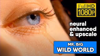 Mr. Big - Wild World (1080/50 neural enhanced & upscale)