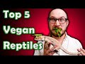 Top 5 Vegan Reptiles | Reptiles That Don't Eat Bugs or Rodents!