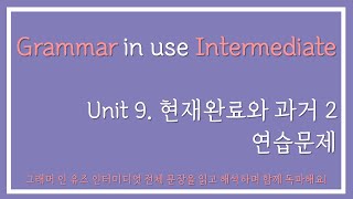 그래머 인 유즈 인터미디엇 Unit9 (현재완료와 과거 2) 연습문제