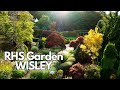 Experience Nature's Splendor at RHS Garden Wisley in Surrey | South of London