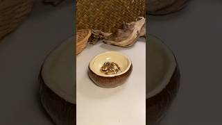 Coconut jewellery bowl Diy Clay Crafts Dharmik arts #dharmikarts #clay #crafts #arts #diy