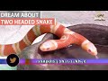 Dream About TWO HEADED SNAKE - Biblical Meaning and Interpretation