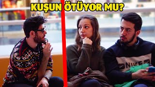 KUŞUN ÖTÜYOR MU? ÜZERİNE ALINMA DENEYİ 4