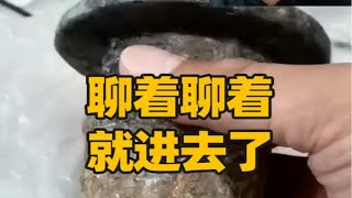 盘点直播鉴宝爆笑名场面