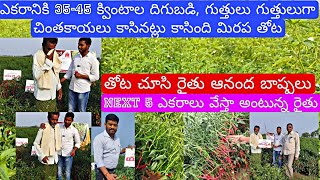 ఈ రైతు తోట మల్లెపూలు తీగలా అల్లుకుపోయింది, తోట చూసి రైతు ఆనంద భాష్పలు @raithusamacharavedika