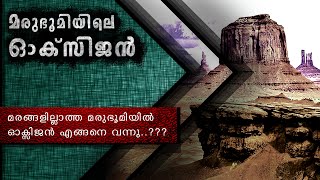 മരങ്ങൾ ഇല്ലാത്ത മരുഭൂമിയിൽ ഓക്സിജൻ നൽകുന്നതാര് ? | Source Of Oxygen In Desert | Plankton | Malayalam