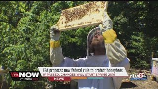 WATCH: EPA imposes rules on pesticides to protect honeybee population