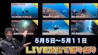 🐠２０２４年５月５日〜５月１１日のダイビングを振り返ります🐠