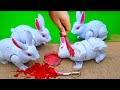 WADIDAU 🐇‼️PROSES POTONG SAPI SIMOLASI QURBANI COW RABBIT CUTTING CARTOON VIDEO @toystory7209