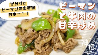 【簡単】ご飯がすすむ！ピーマンと牛肉の甘辛炒め