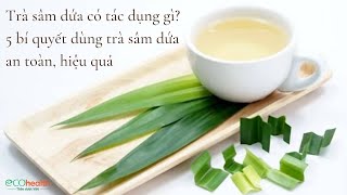 Trà sâm dứa có tác dụng gì? 5 bí quyết dùng trà sâm dứa an toàn, hiệu quả