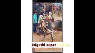 eriguthi super ⭐