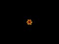 Python turtle Graphics Design #python #shorts #coding