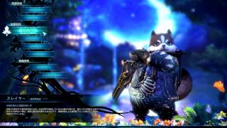 TERA JP OBT - Race/Class Models